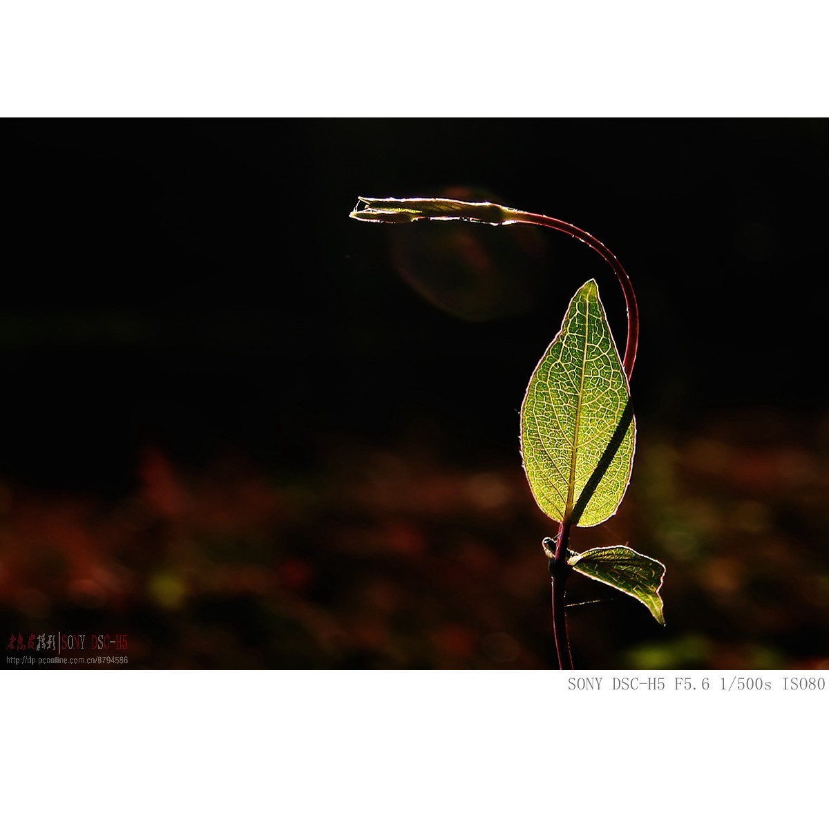 还有人用这老机子吗，今天拿它晒晒