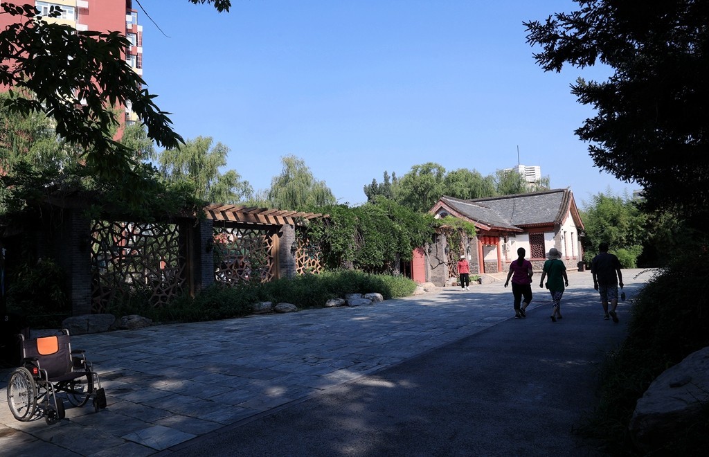 柳荫公园的夏天