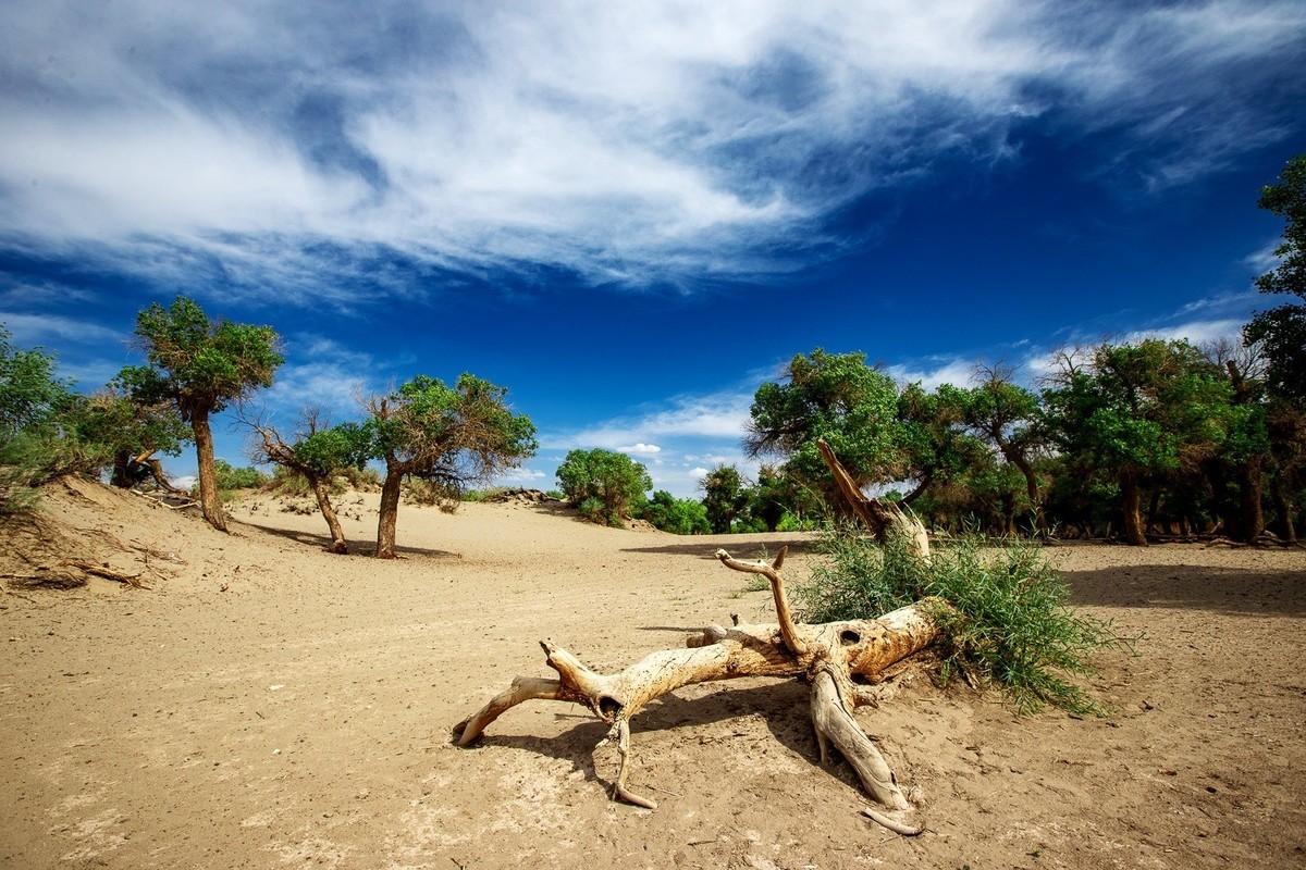 时光不语自清浅，岁月无言自安然。
