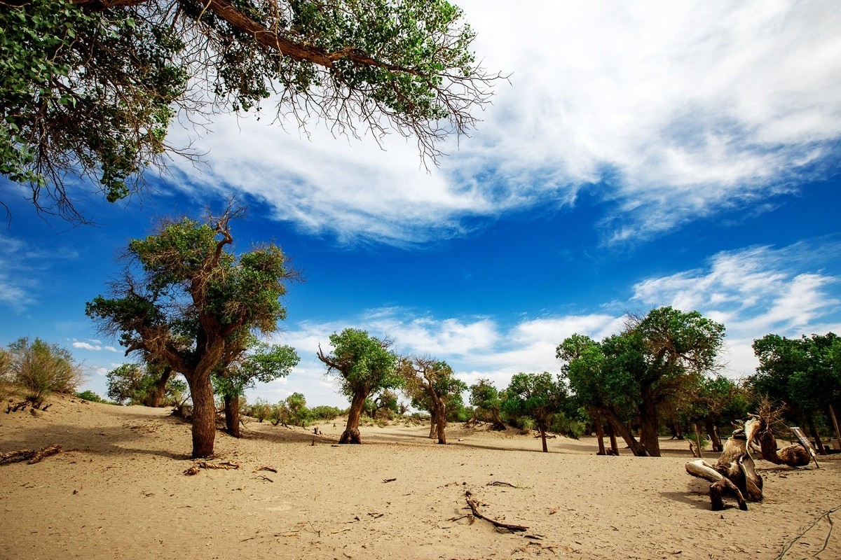 时光不语自清浅，岁月无言自安然。
