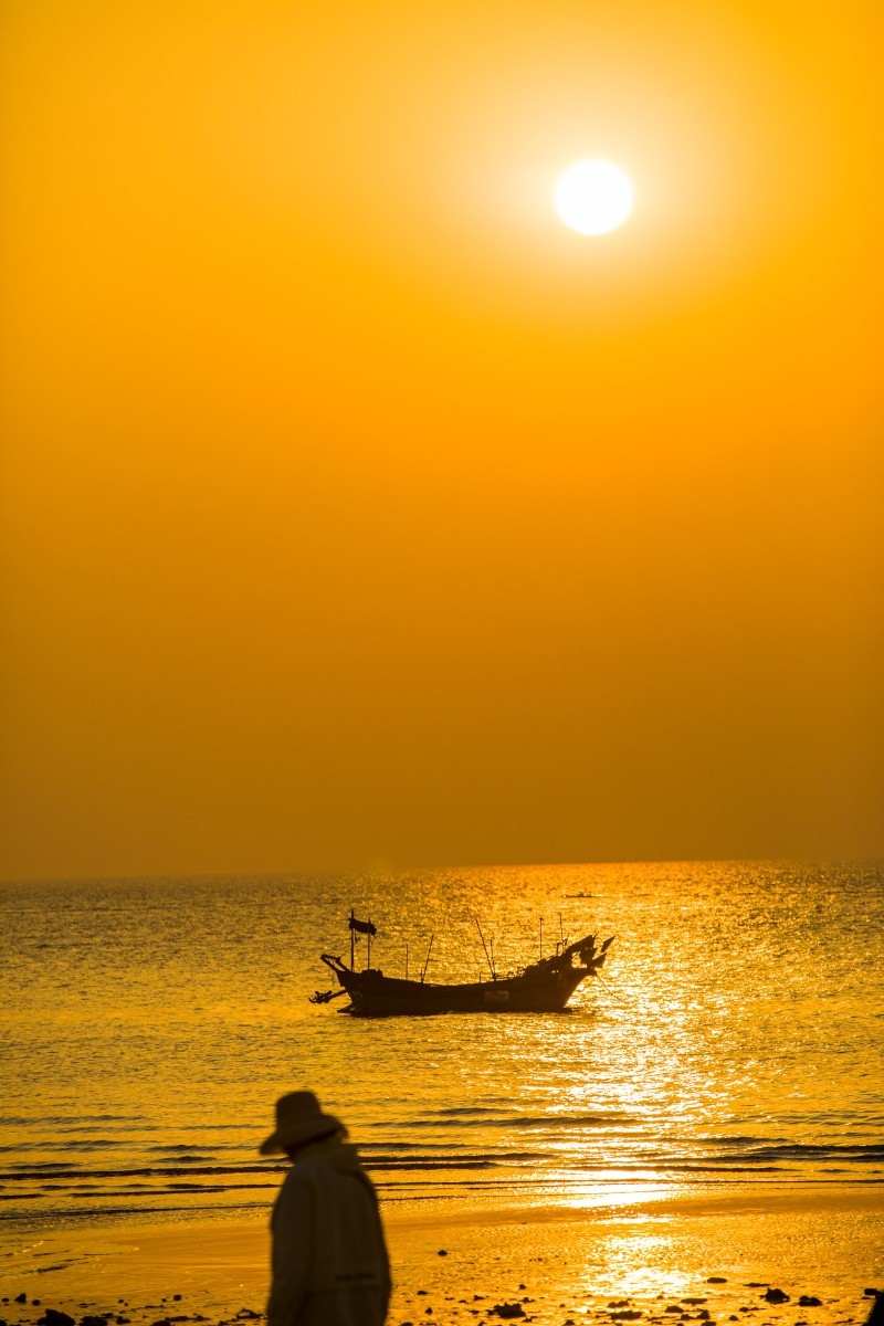 外出随拍（续281）.