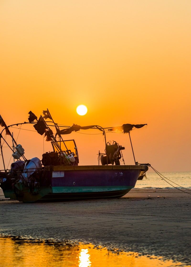 外出随拍（续281）.