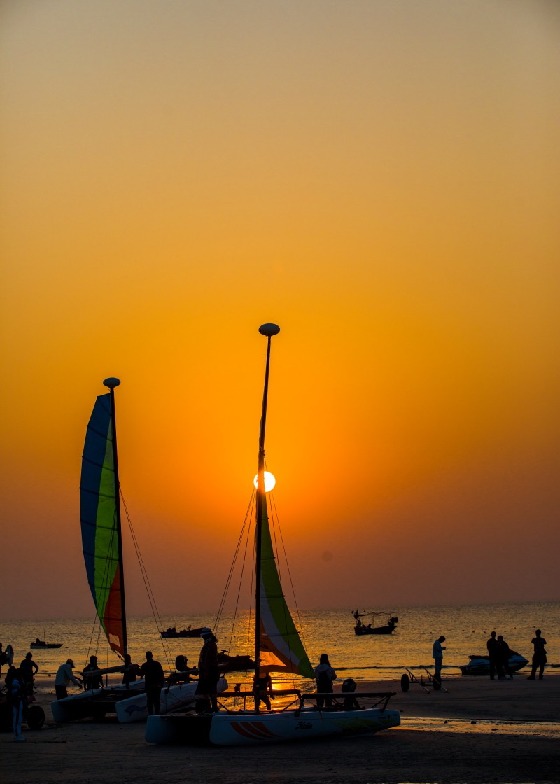 外出随拍（续281）.