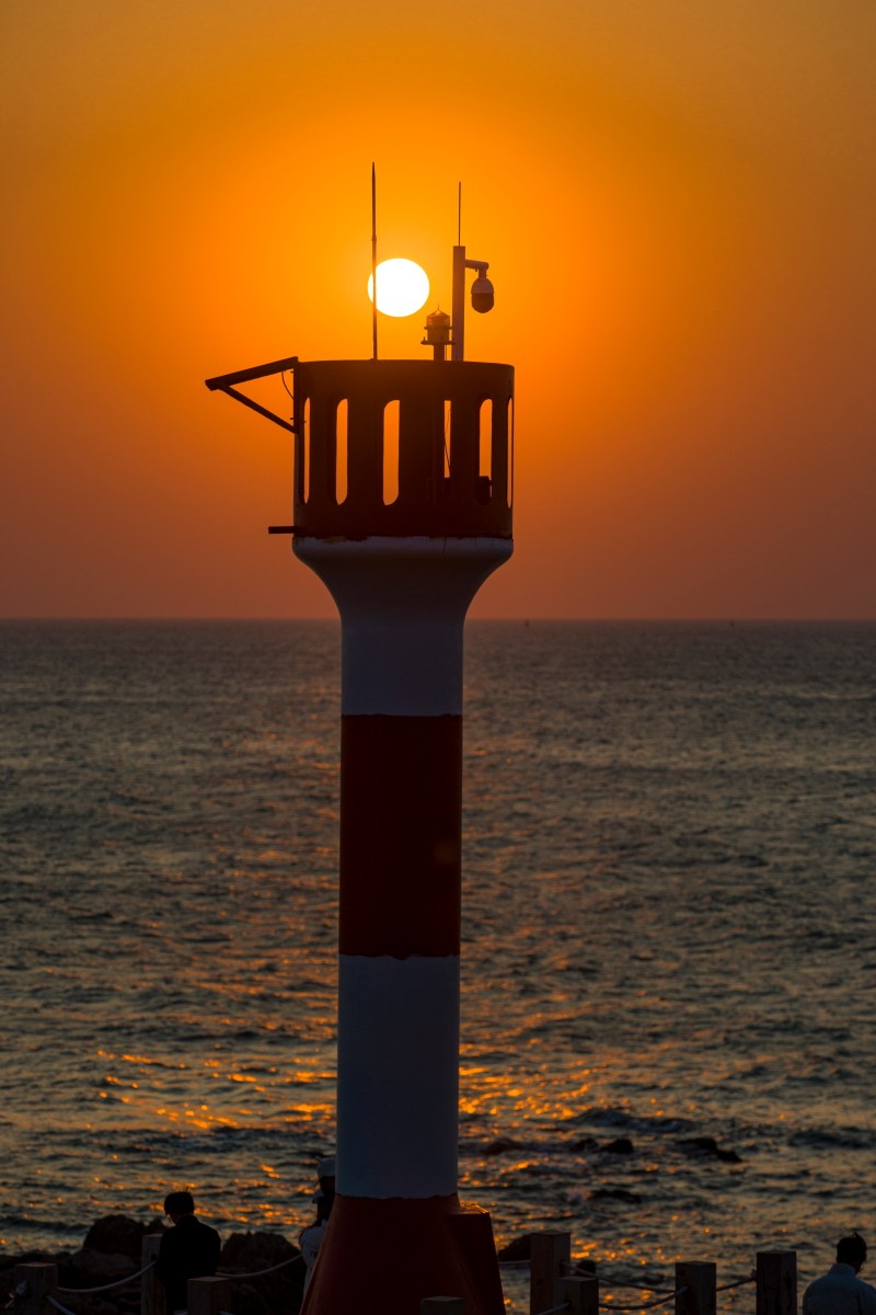 外出随拍（续281）.