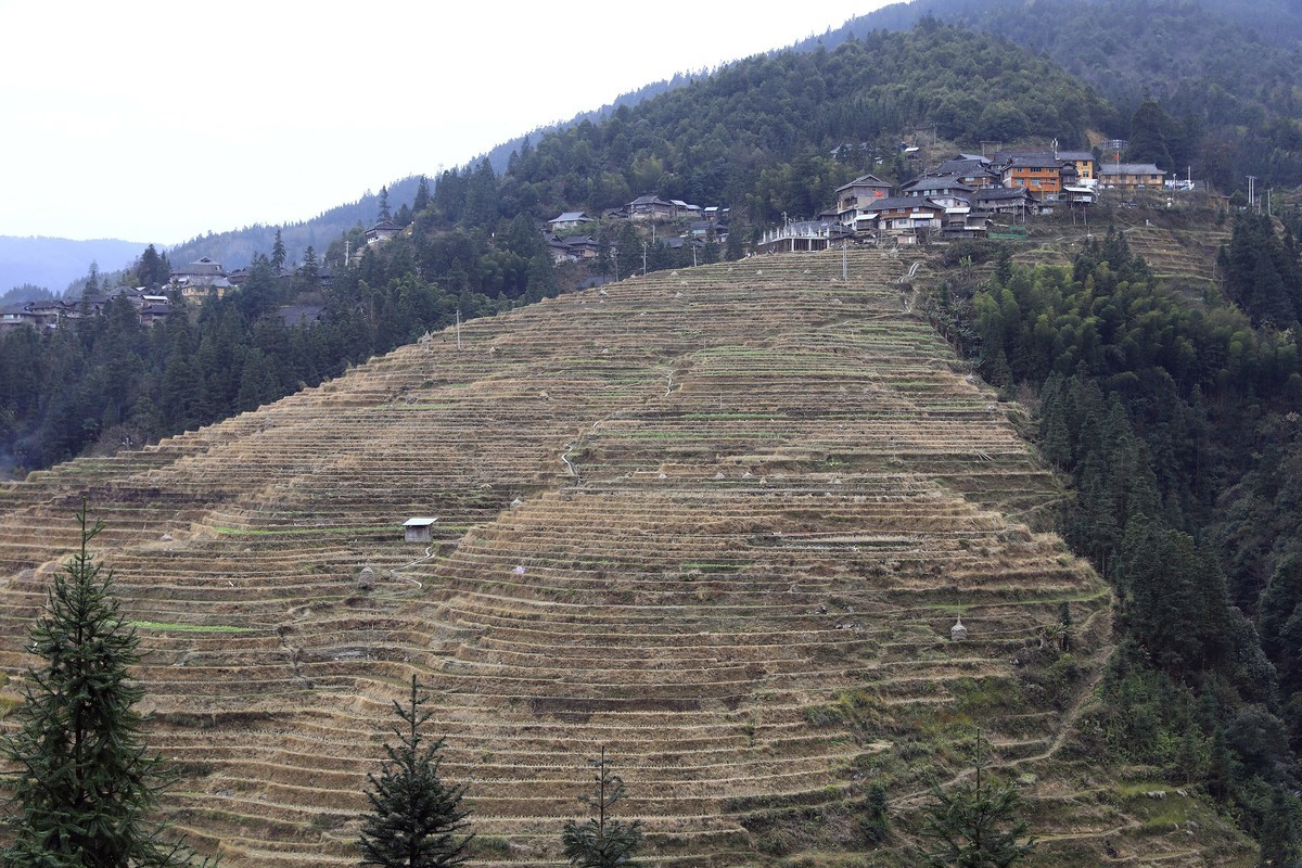 贵州加榜梯田2