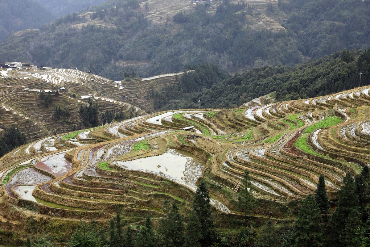 贵州加榜梯田2