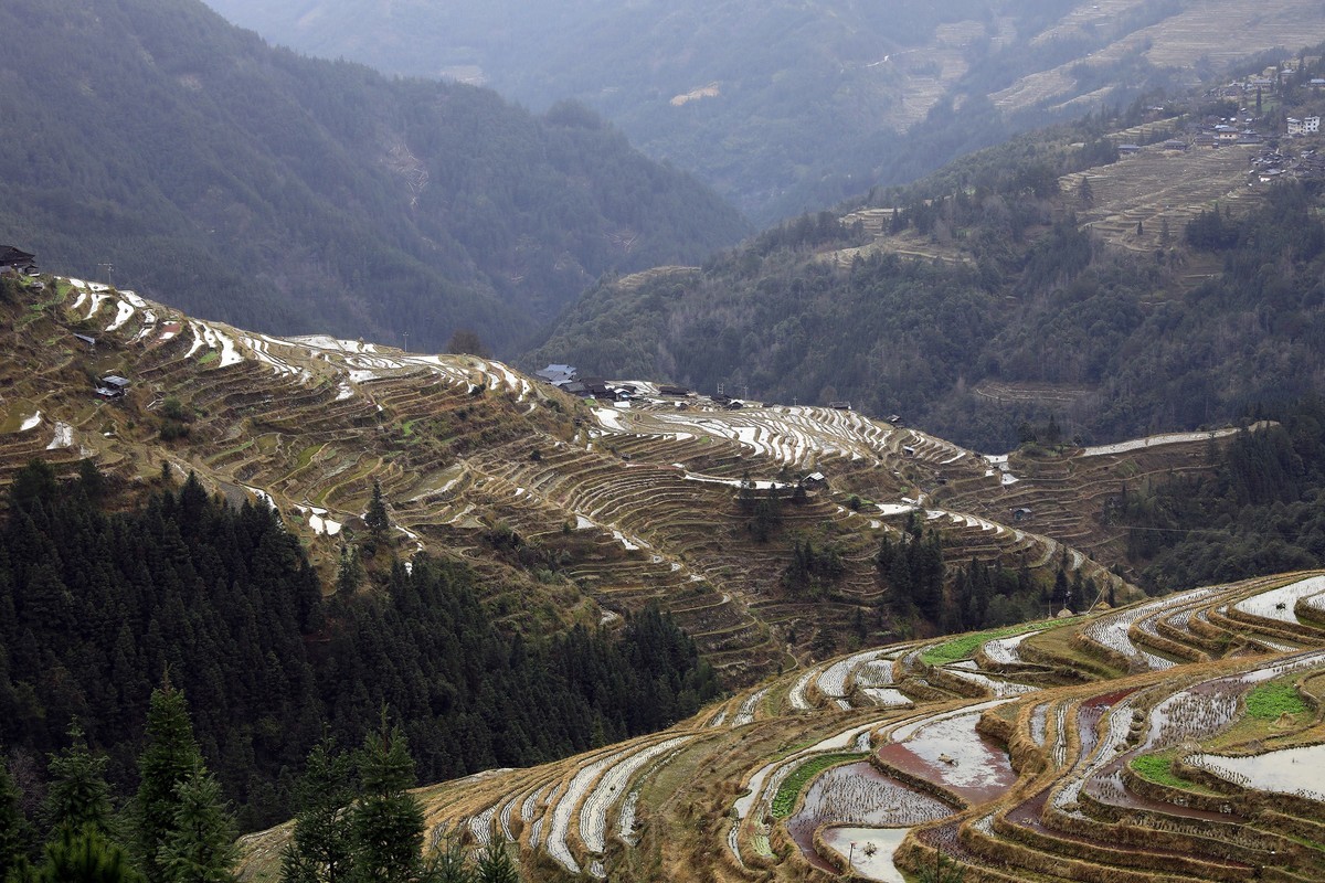 贵州加榜梯田2