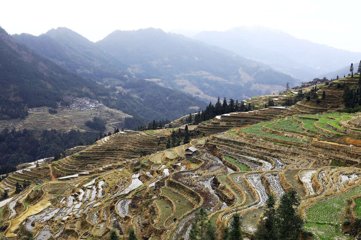 贵州加榜梯田2
