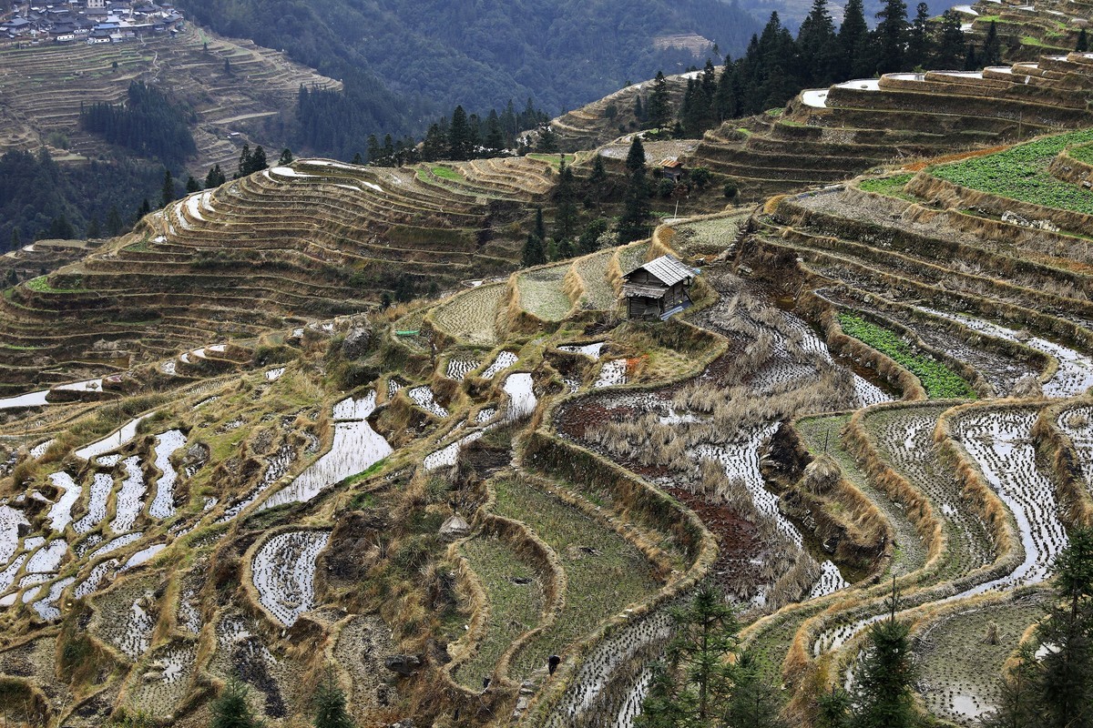 贵州加榜梯田2
