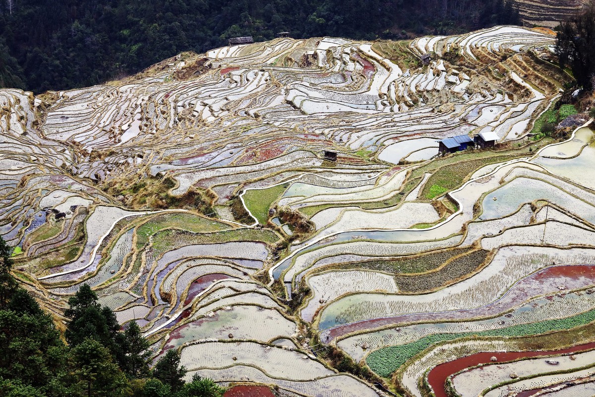 贵州加榜梯田