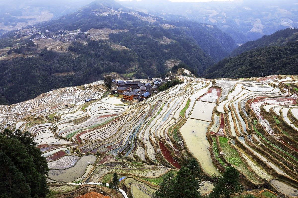 贵州加榜梯田