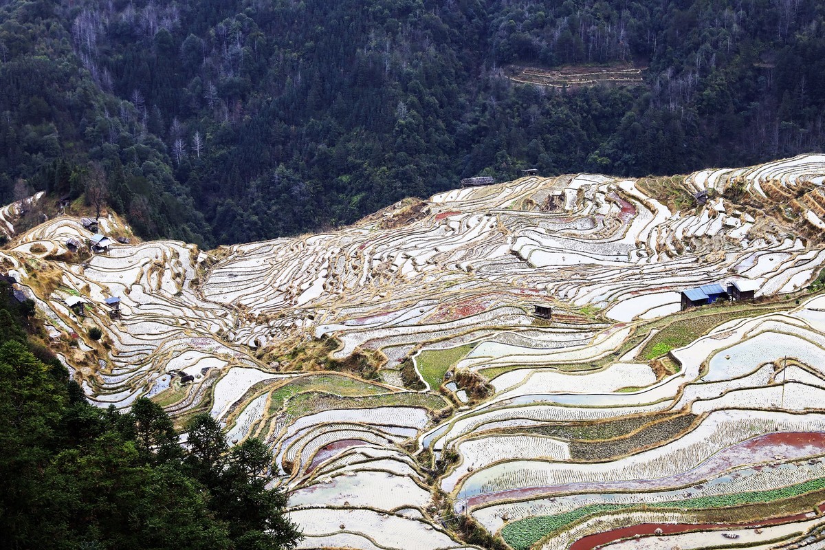 贵州加榜梯田