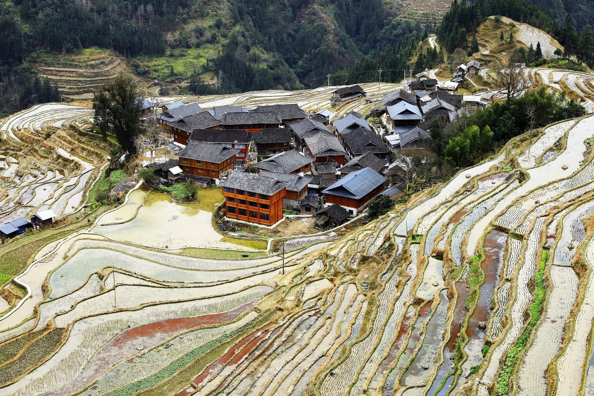 贵州加榜梯田