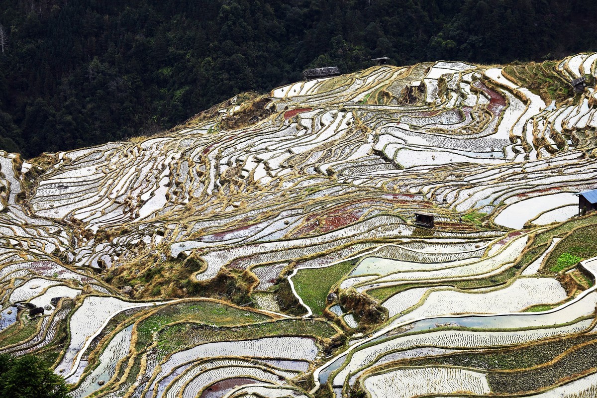 贵州加榜梯田