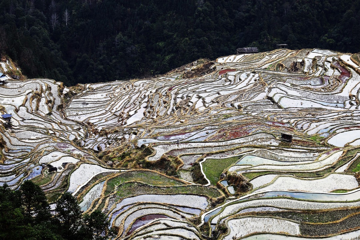 贵州加榜梯田