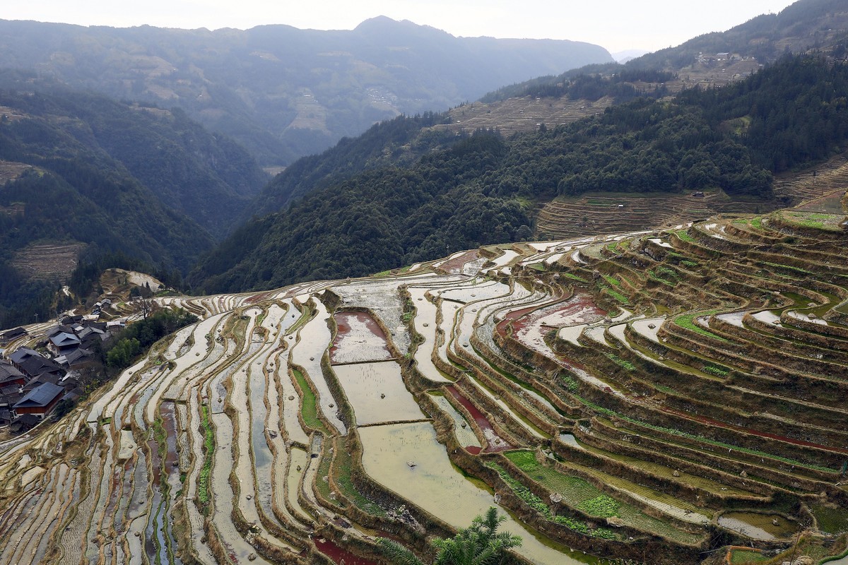 贵州加榜梯田