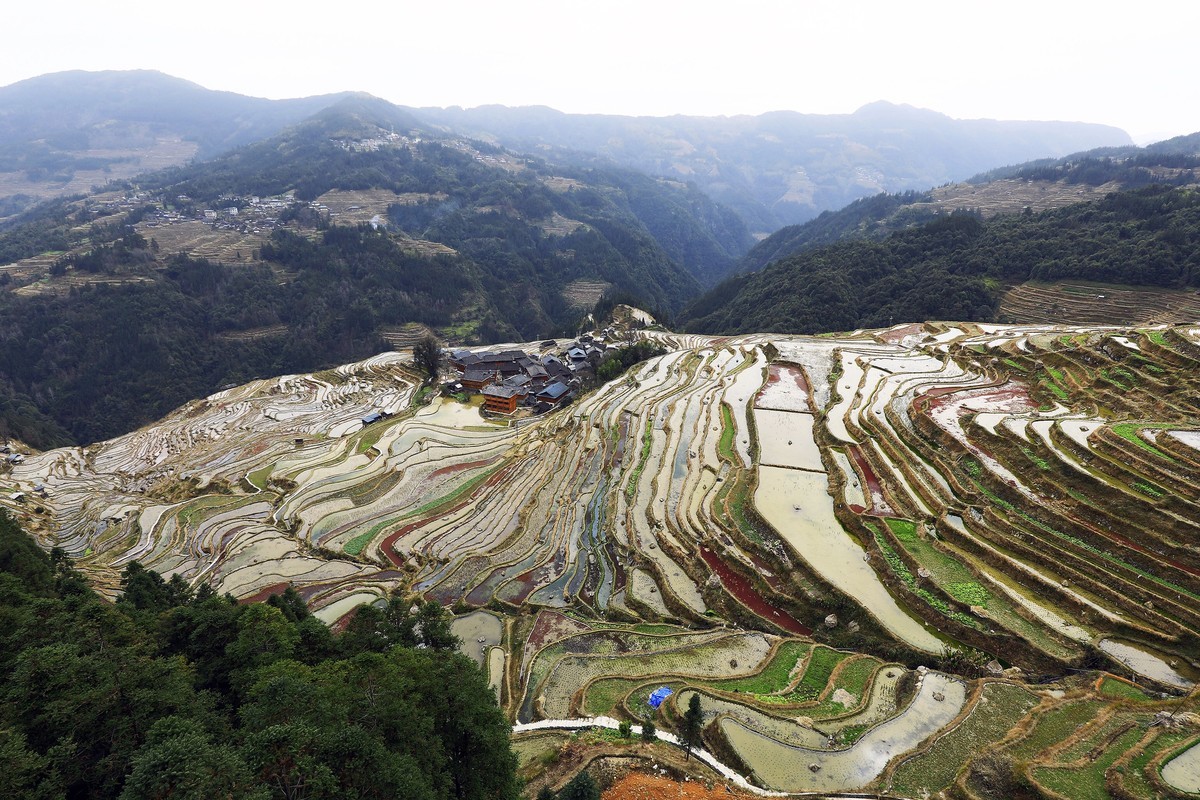 贵州加榜梯田