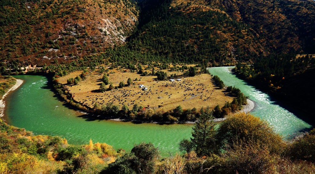 山美、水美、四川美