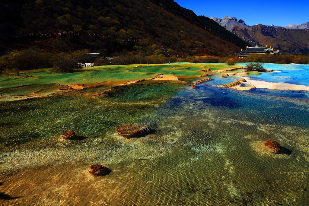 山美、水美、四川美