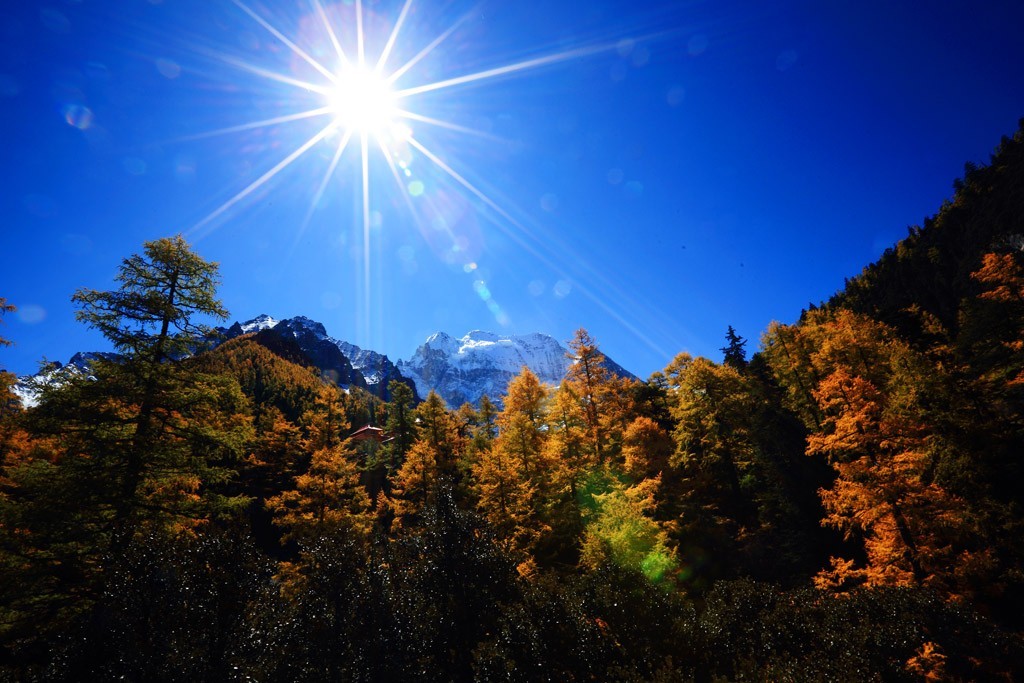 山美、水美、四川美