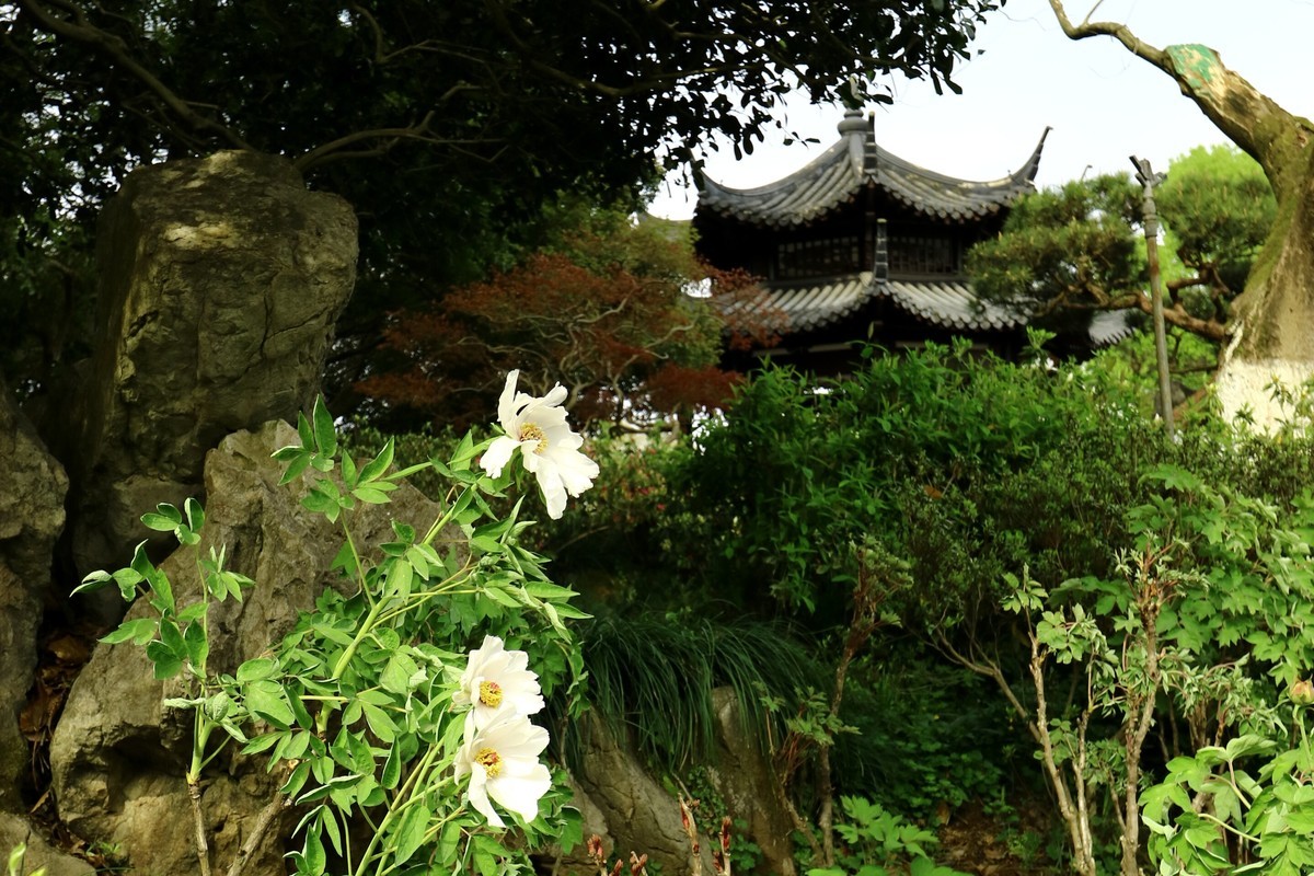 EF-M 11-22 既能拍广角，也适合拍中景、近景