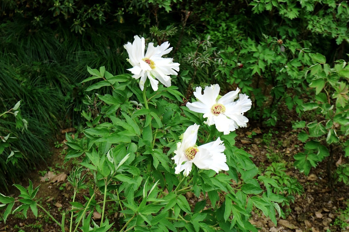 EF-M 11-22 既能拍广角，也适合拍中景、近景