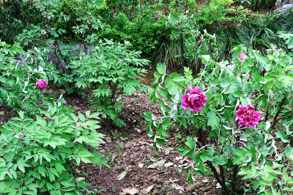 EF-M 11-22 既能拍广角，也适合拍中景、近景