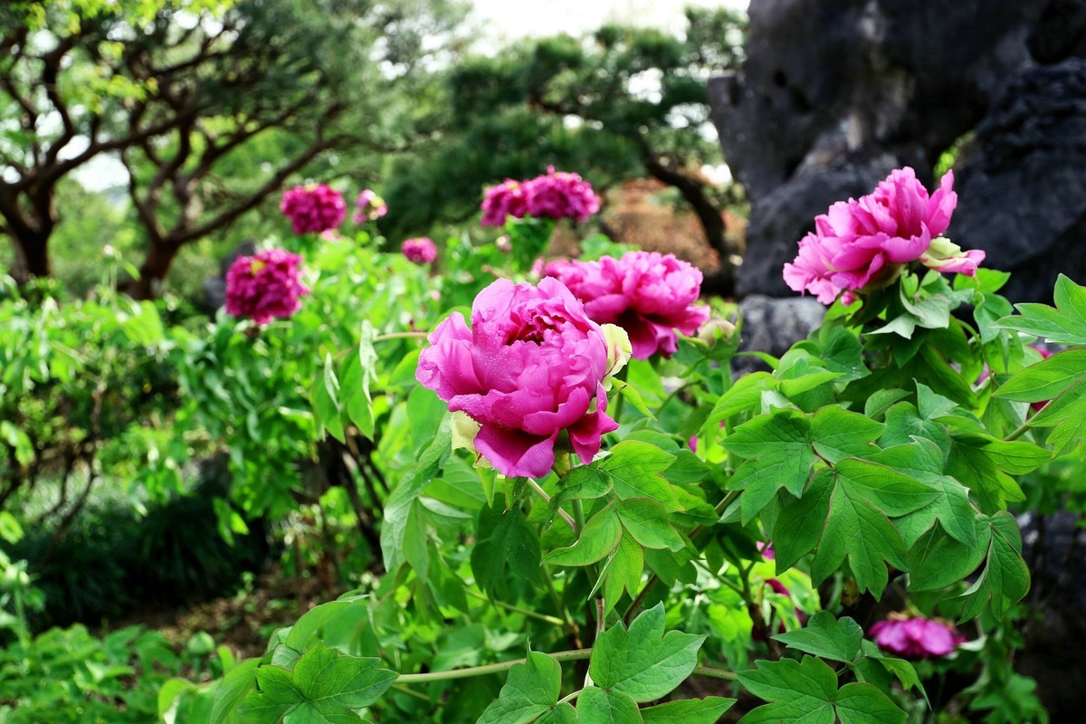 EF-M 11-22 既能拍广角，也适合拍中景、近景