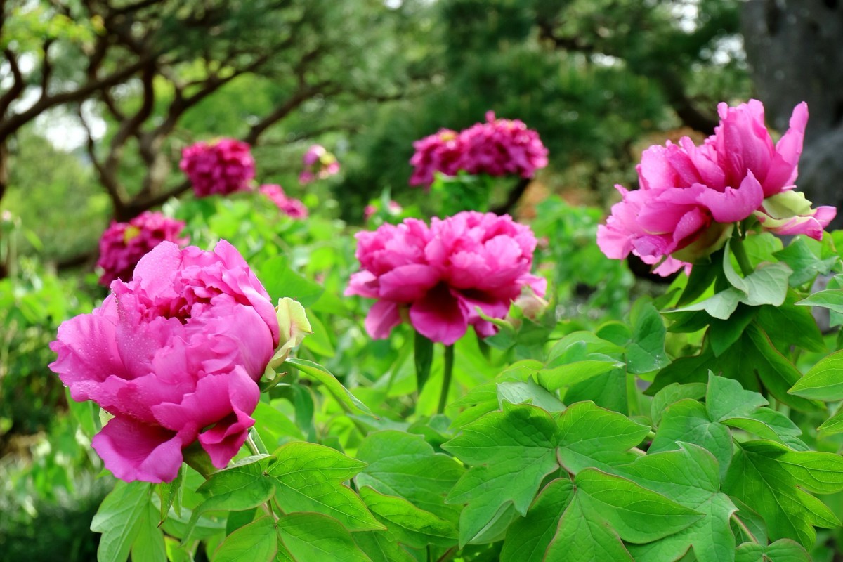 EF-M 11-22 既能拍广角，也适合拍中景、近景