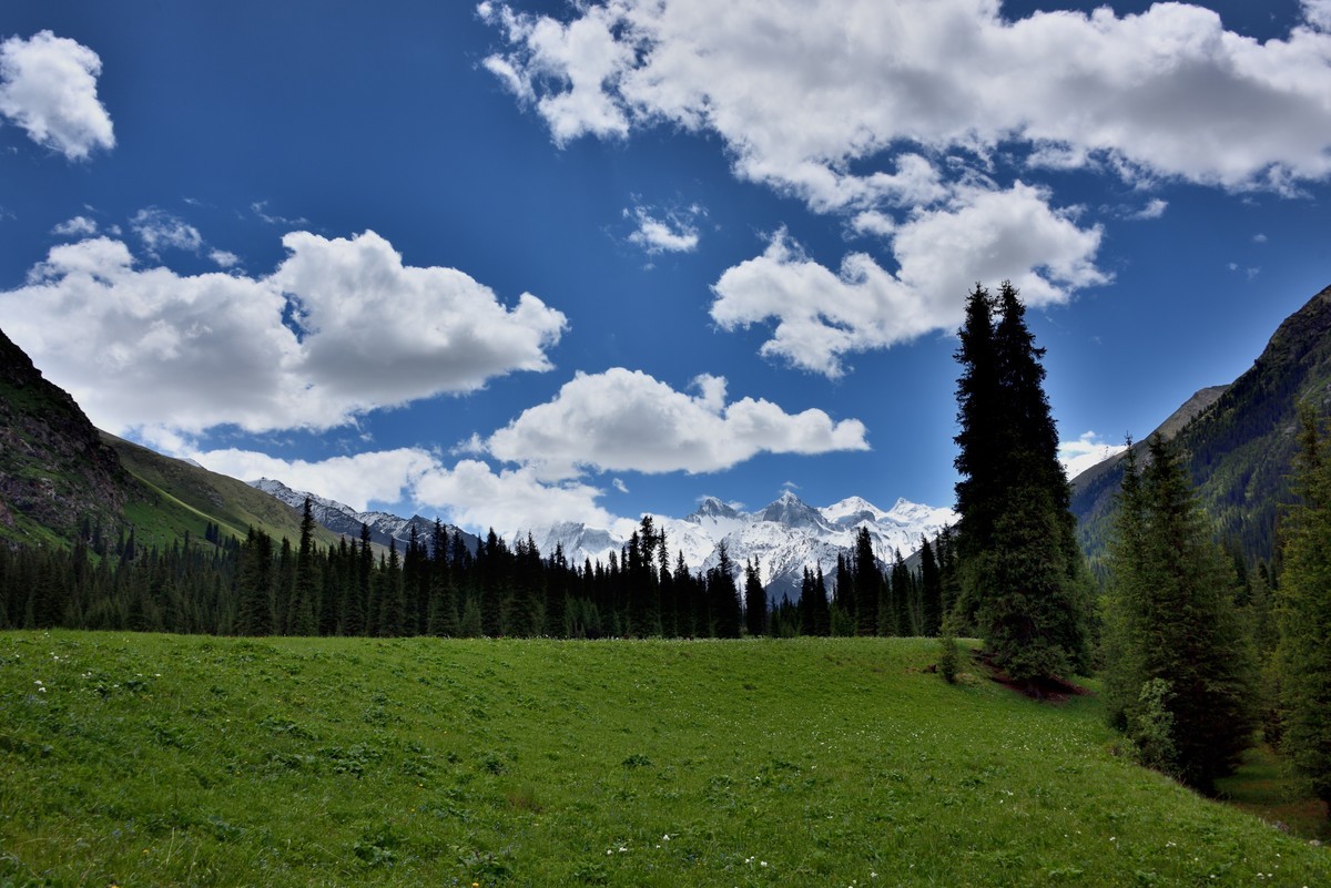 夏日新疆中部环线游拍——夏塔风景区【5】