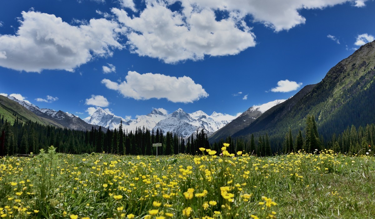夏日新疆中部环线游拍——夏塔风景区【5】