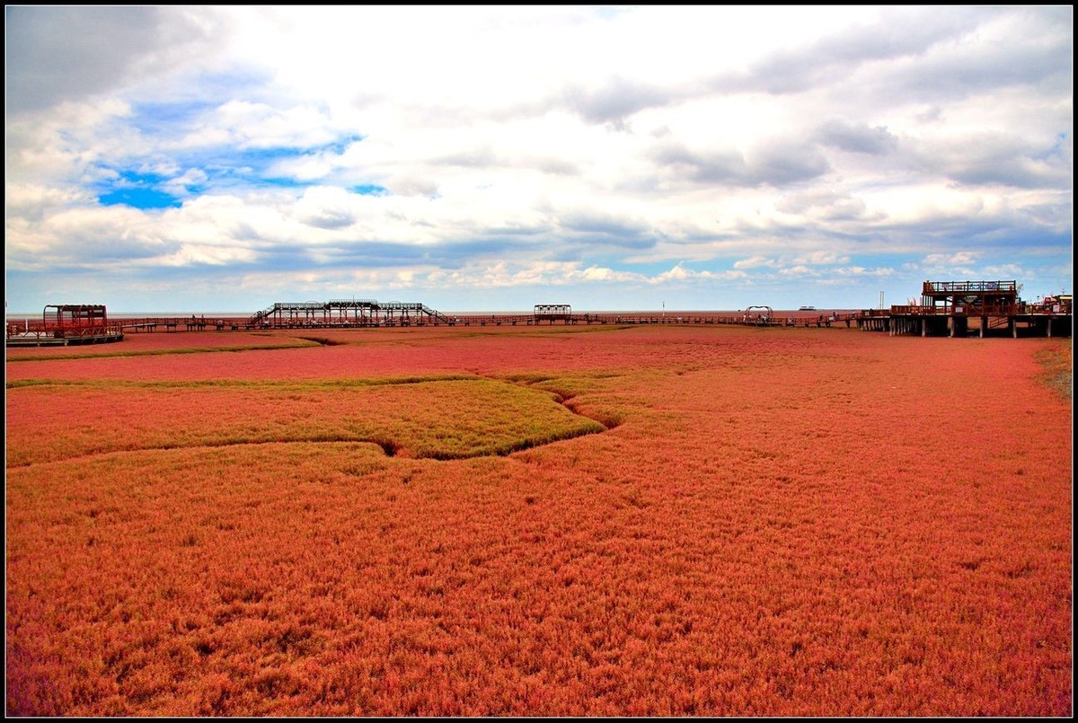 辽宁盘锦红海滩