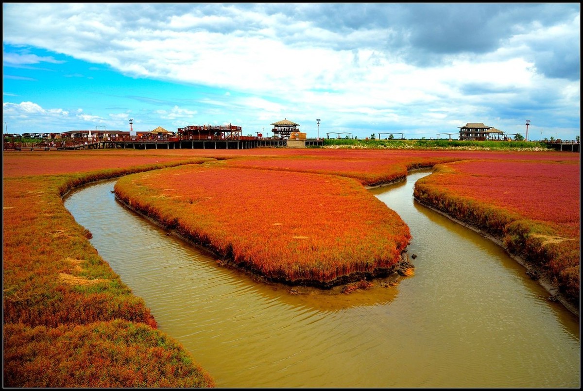 辽宁盘锦红海滩