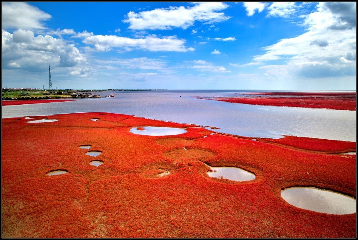辽宁盘锦红海滩