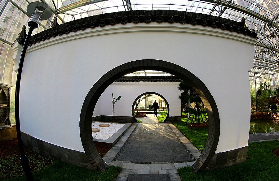 《不老松：纪实摄影》沧州印象  醉美金秋！ (15)