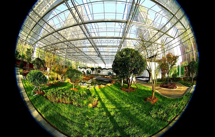 《不老松：纪实摄影》沧州印象  醉美金秋！ (15)