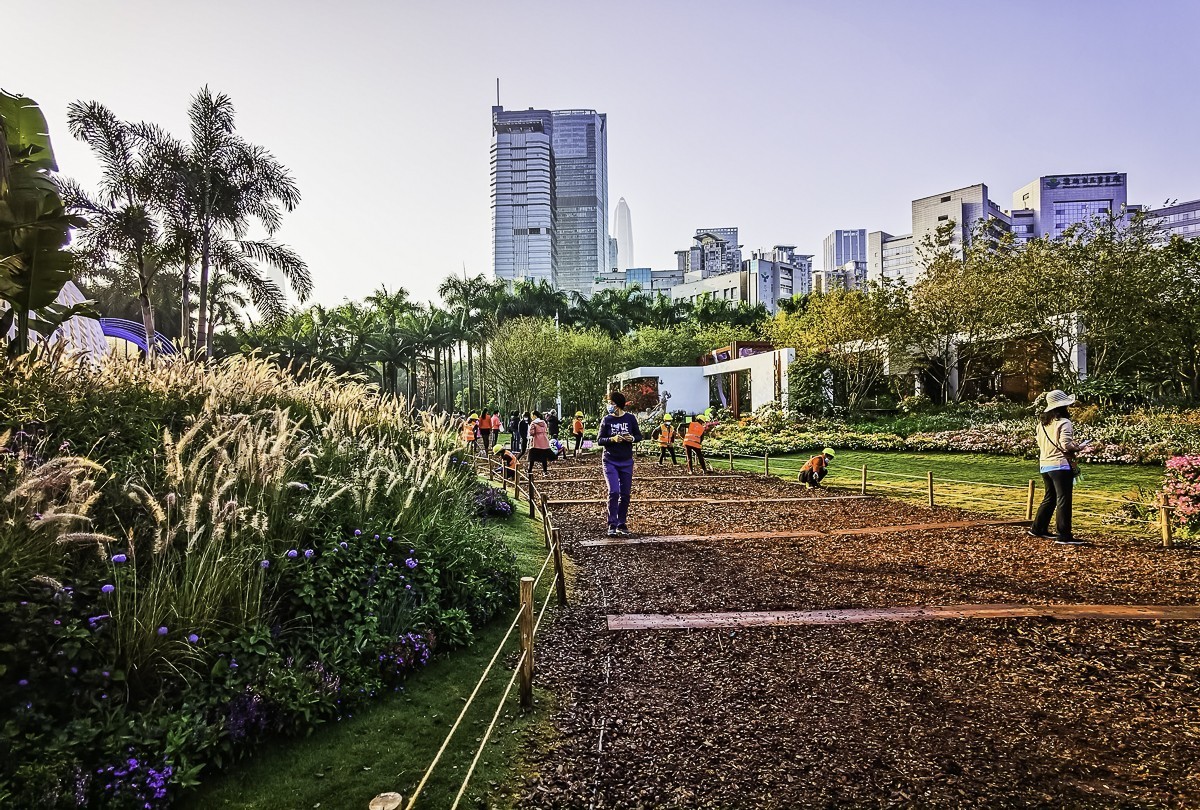 深圳莲花山公园掠影