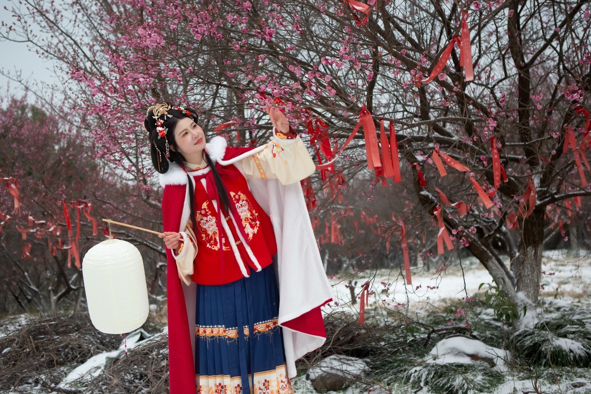 红衣靓妹雪中情