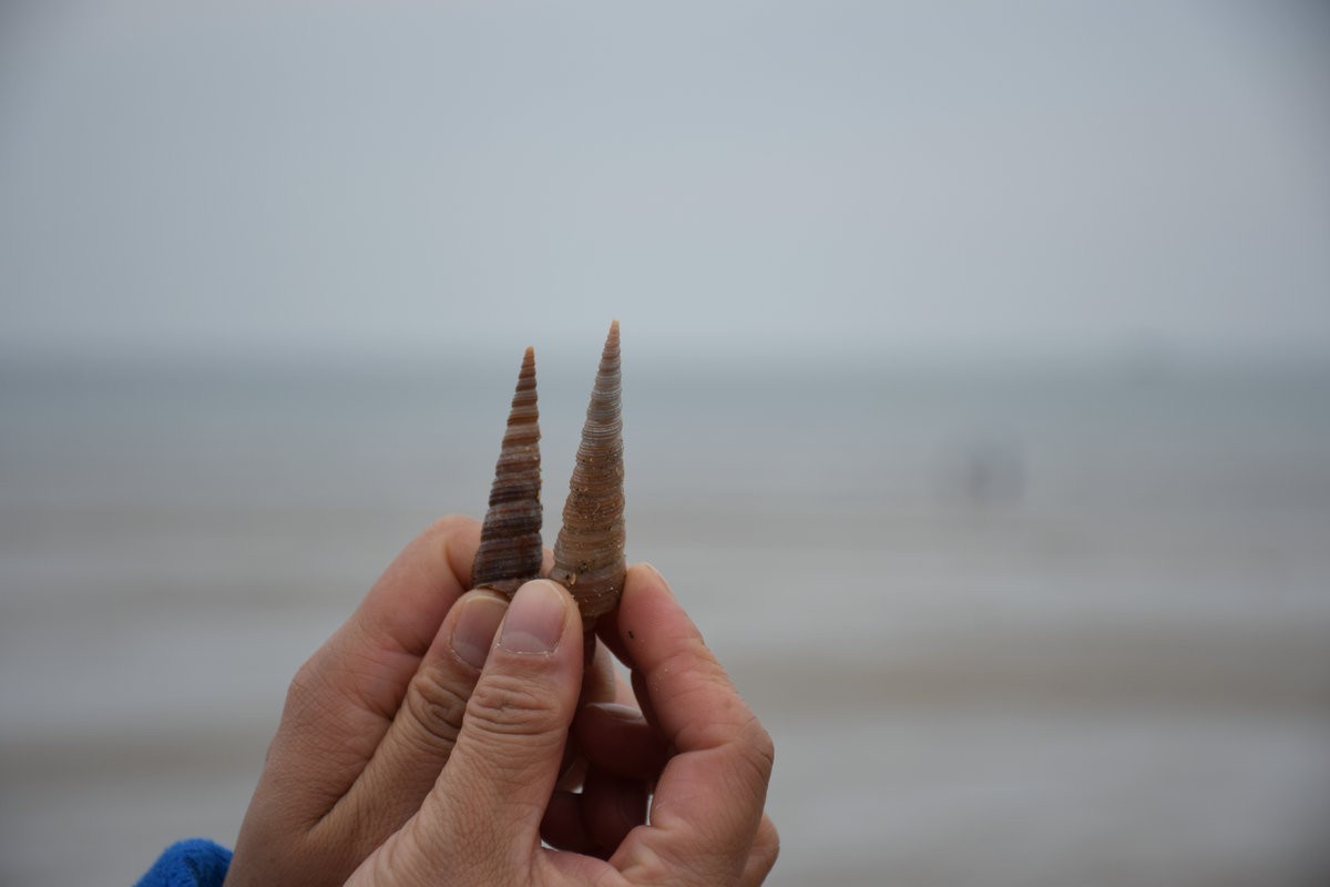 2024春节 滇桂沿边行（25）“黑沙白浪”胜景