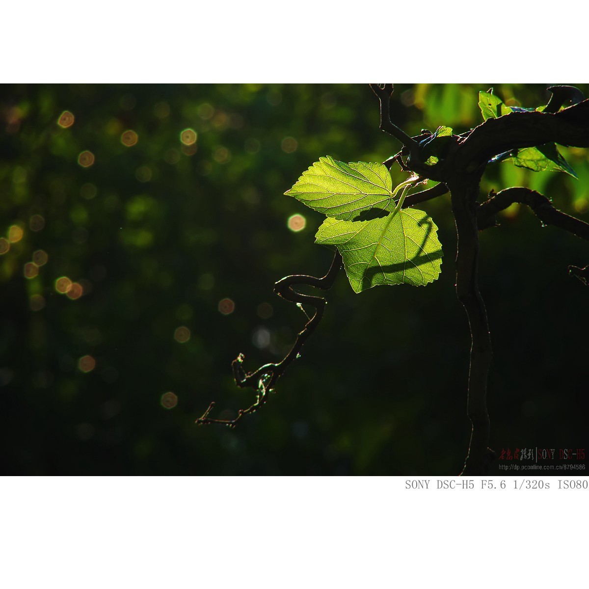 还有人用这老机子吗，今天拿它晒晒