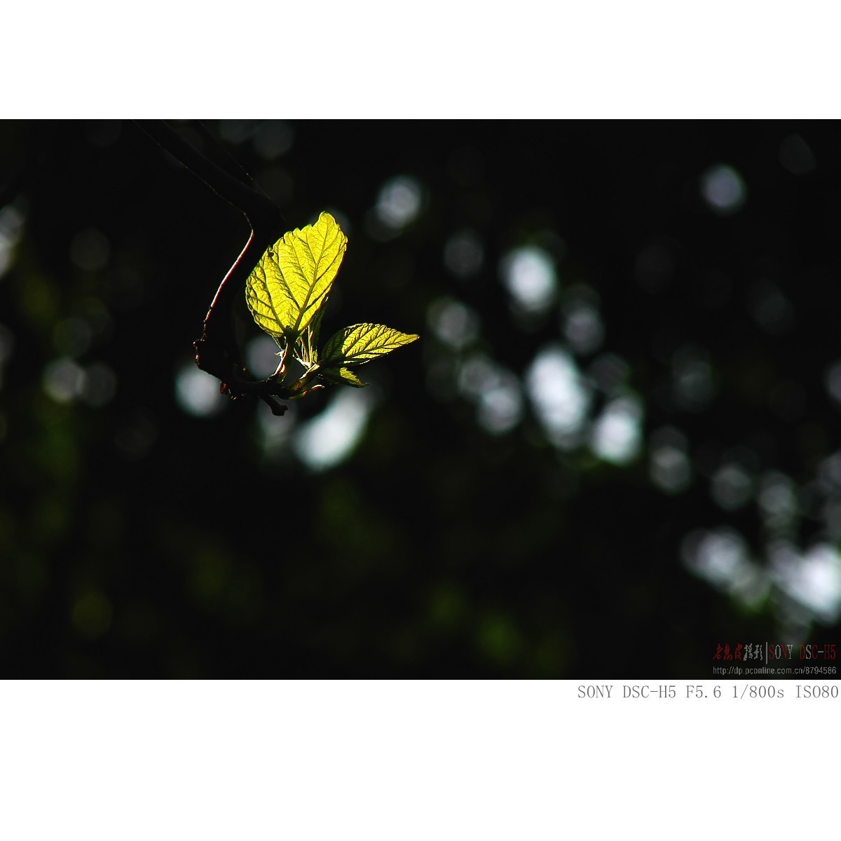 还有人用这老机子吗，今天拿它晒晒