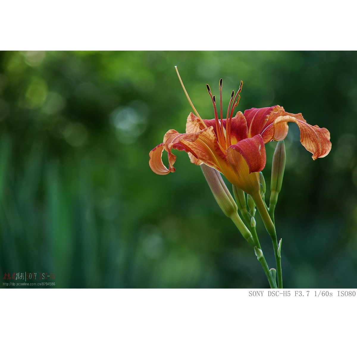 还有人用这老机子吗，今天拿它晒晒