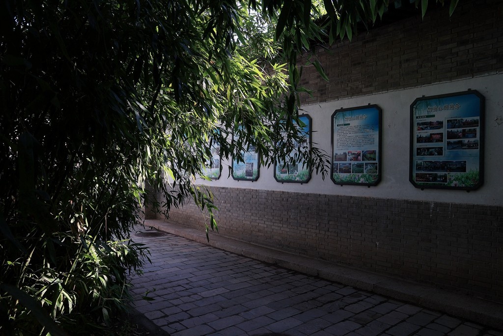 柳荫公园的夏天