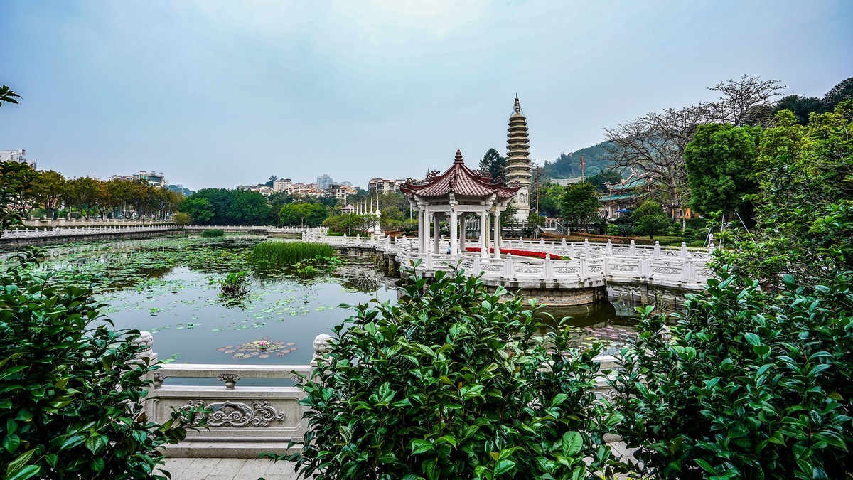 南普陀寺莲花池