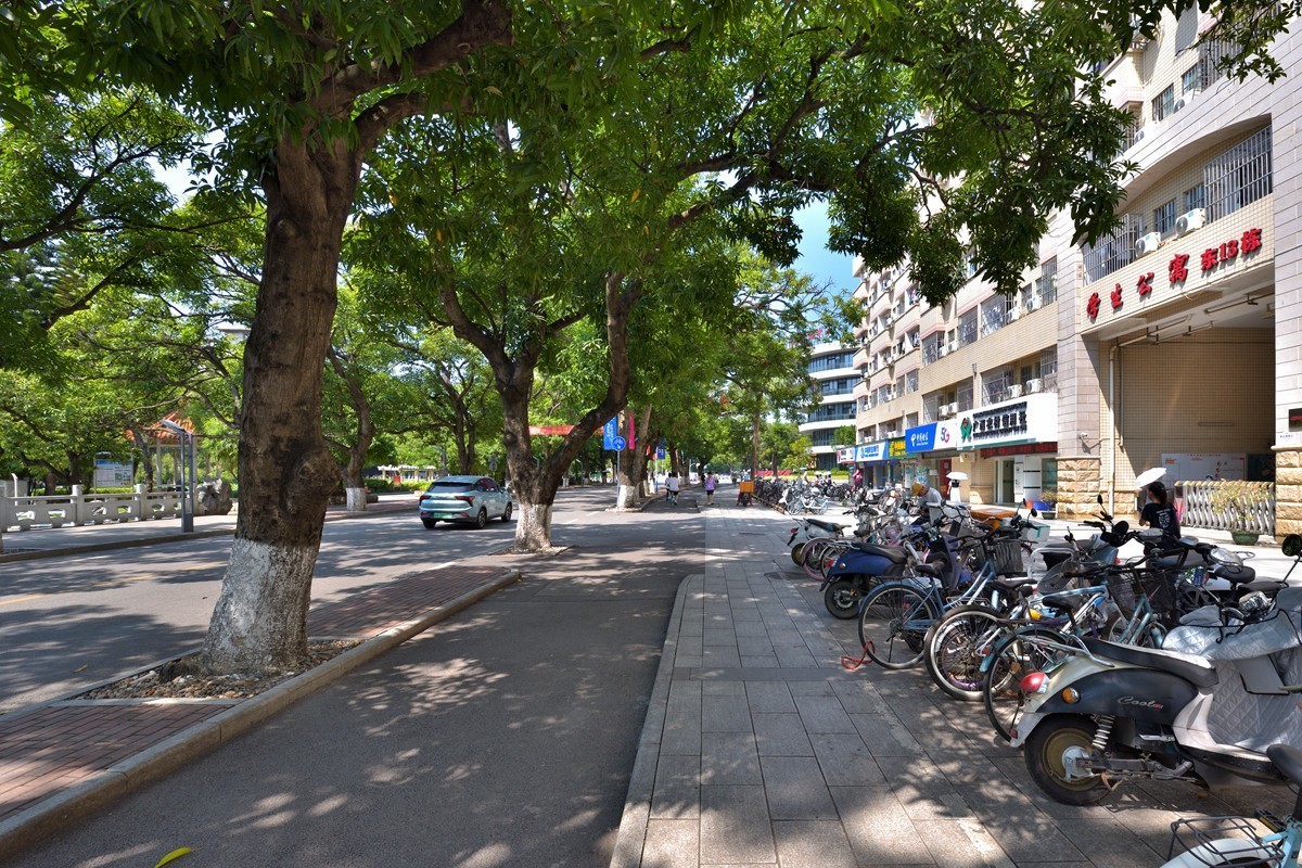 住宅区附近随拍