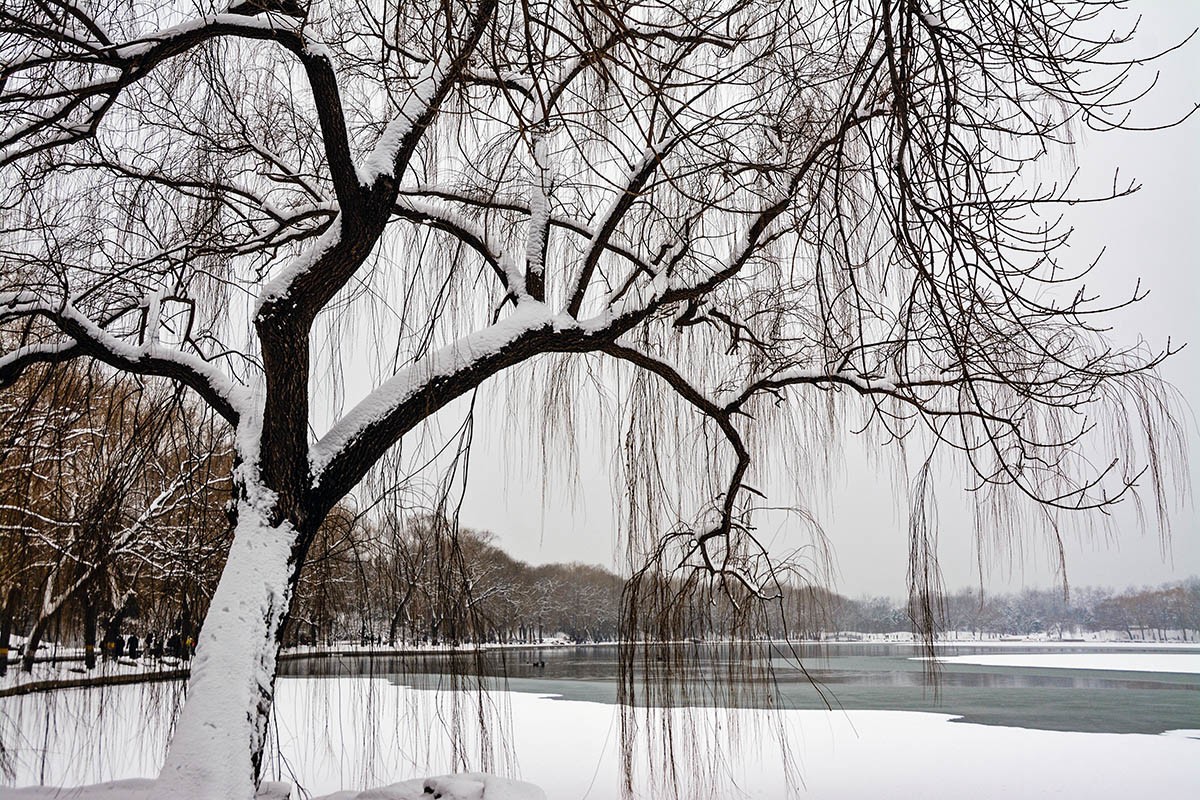#一张照片一座城#一场雪，北京就变成了北平