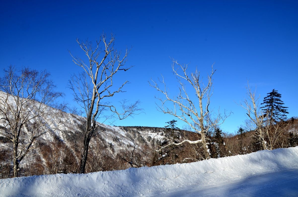 亚布力——二浪河子雪乡游拍（2）