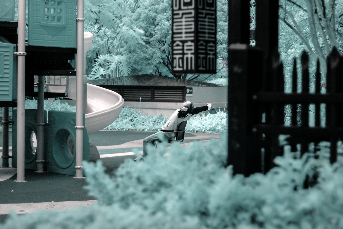 红外视界初夏景色速写