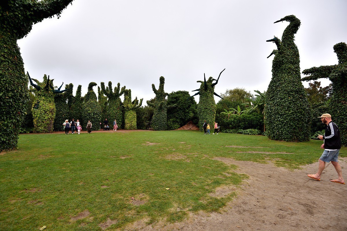 新西兰哈密尔顿花园      1/4