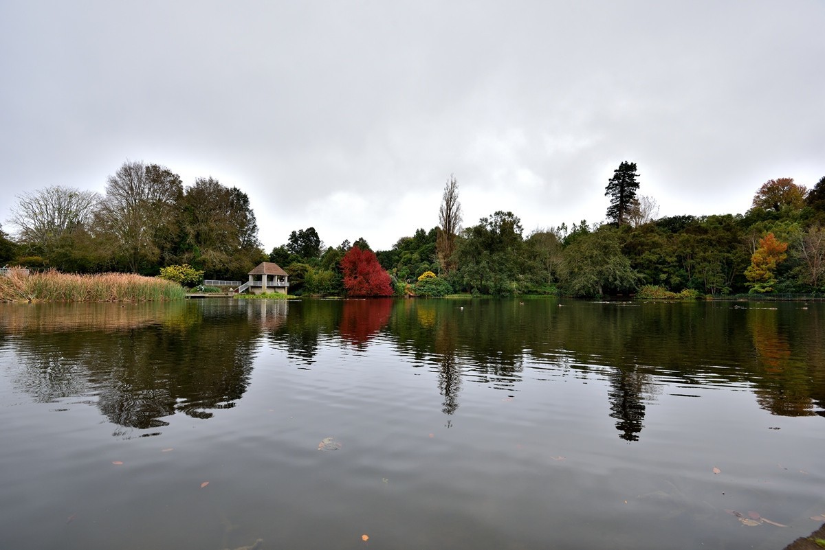 新西兰哈密尔顿花园      2/4